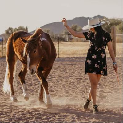 Herd Management Areas: Profiles