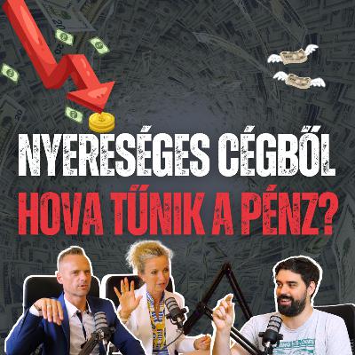 46. Nyereséges a cég, mégis üres a kassza? (Hogy lehet és mi a megoldás?)