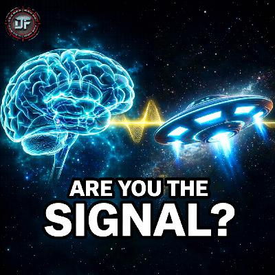 CE5: Is Human Consciousness the Trigger for UFO Contact? CE5: Is Human Consciousness the Trigger for UFO Contact?