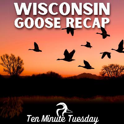 Wisconsin Goose Hunt Recap
