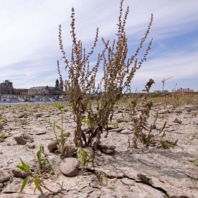 Olas de calor tormentas tropicales y cambio climático Olas de calor tormentas tropicales y cambio climático