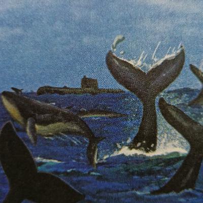 海底两万里 第二部分 第12章 抹香鲸和长须鲸 海底两万里 第二部分 第12章 抹香鲸和长须鲸