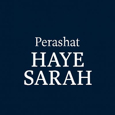 Haye Sarah: Rav Judah Dardik on Navigating Loss & Legacy Haye Sarah: Rav Judah Dardik on Navigating Loss & Legacy