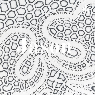 When should a nail be removed completely if it’s ingrown.