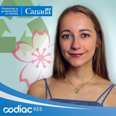 Le temps d'un podcast- L’état de la forêt acadienne, avec Alexis Légère