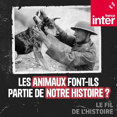 Les animaux font-ils partie de notre histoire ? 1/5 : La domestication
