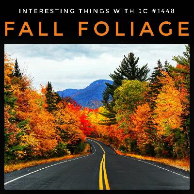 1448: "Fall Foliage" 1448: "Fall Foliage"