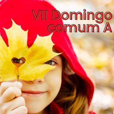 Lectio Divina do VII Domingo do Tempo Comum - Ano A Lectio Divina do VII Domingo do Tempo Comum - Ano A