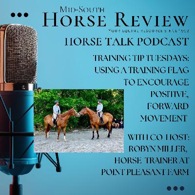 Training Tip Tuesdays with Robyn Miller. Working with a Training Flag