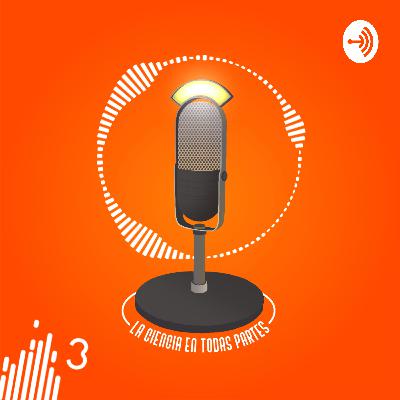 Los códigos de barra