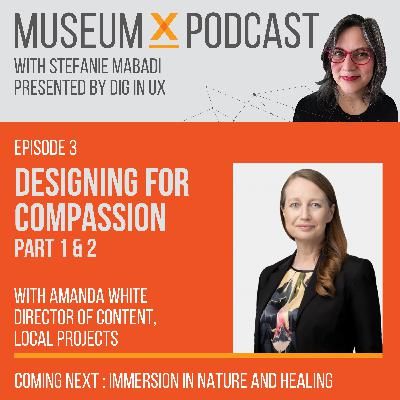 E3, Pt2: Designing for Compassion with Amanda White, Director of Content at Local Projects