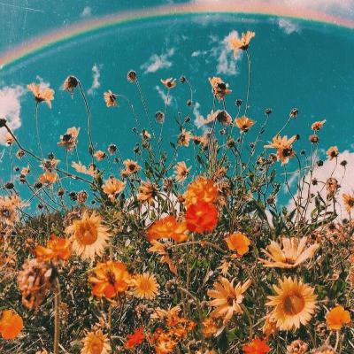 Good Stupidity: Trailer