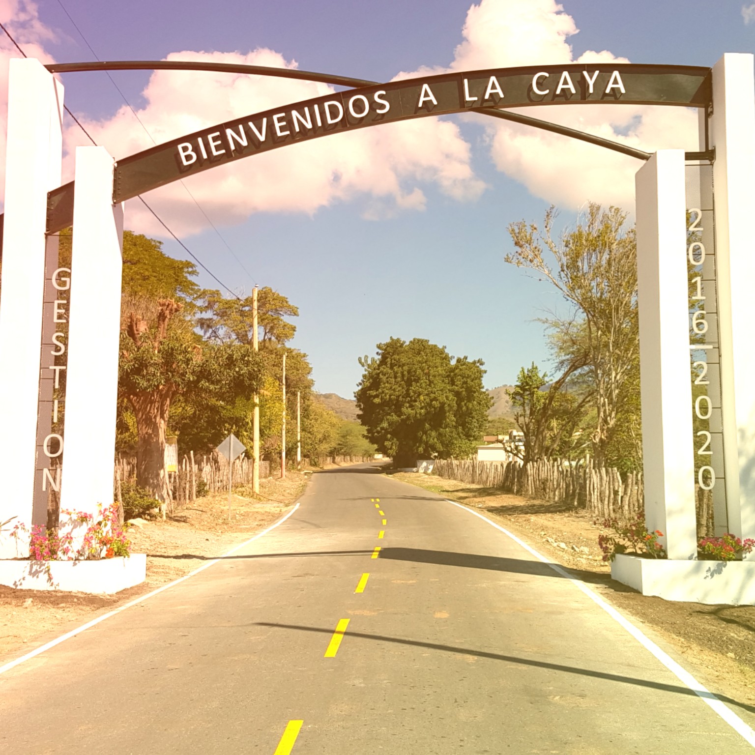 EL ESTUDIO DE LA LENGUA