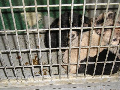 Winter is Coming Winter is Coming