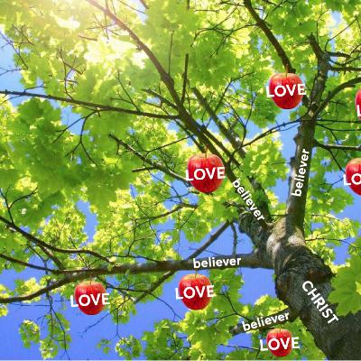 The Fruit Of Eternal Life (1) Is Love