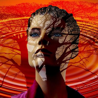 Errores y experiencias en nuestras vidas.