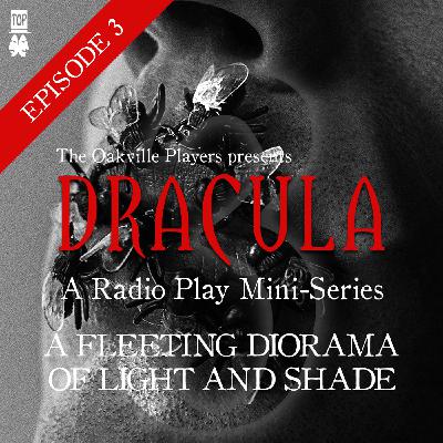 Episode 3: A Fleeting Diorama of Light and Shade
