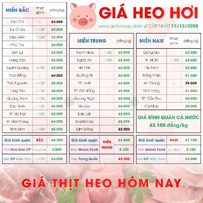 GIÁ HEO HƠI 17/12/2025 ✅ GIÁ THỊT LỢN & TIN TỨC CHĂN NUÔI #GIAHEOHOI #GIATHITHEO #GIAHEOUPDATE