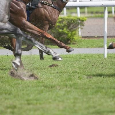 Horse Racing Preview with Jane Mangan