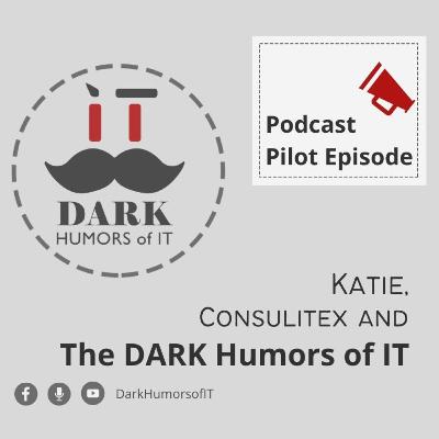 Why do you need an IT consultant?