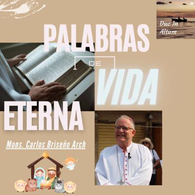 T4. Ep. 3. Palabras de Vida Eterna. Vino a los suyos y los suyos no lo recibieron. T4. Ep. 3. Palabras de Vida Eterna. Vino a los suyos y los suyos no lo recibieron.