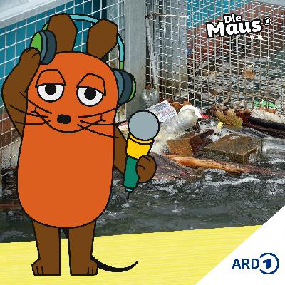 So viel Müll schwimmt im Rhein