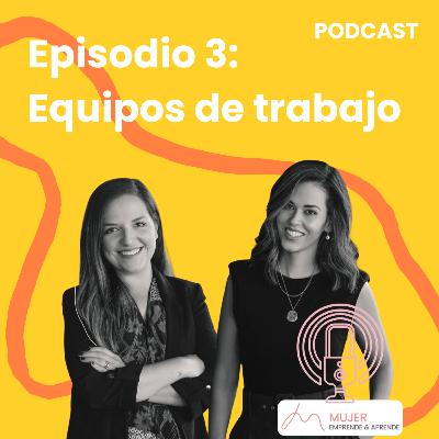 Ep. 3 - Equipos de Trabajo