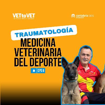 Traumatología y medicina veterinaria del deporte E6 Podcast Vet to Vet