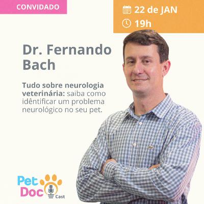 Tudo sobre neurologia veterinária: saiba como idêntificar um problema neurológico no seu pet!