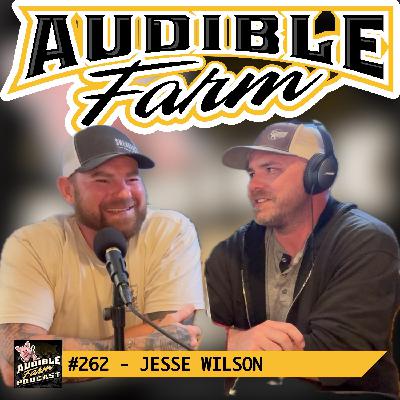 #262 - Jesse Wilson | Social Media Can Help You Get Gigs! #262 - Jesse Wilson | Social Media Can Help You Get Gigs!