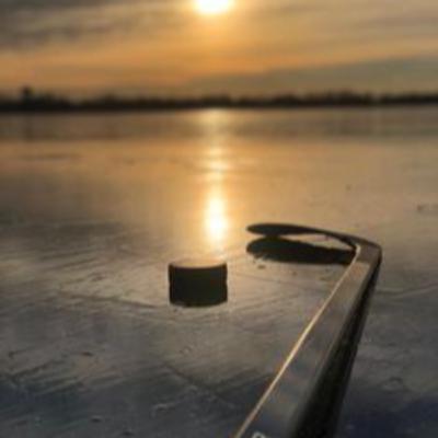 The Hockey Hut NHL Podcast Ep. 1
