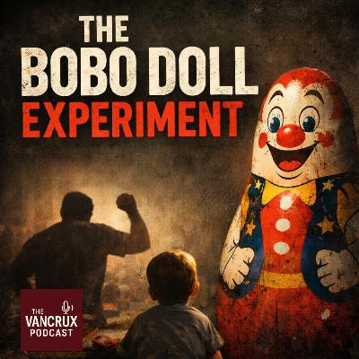 The Bobo Doll Experiment – How Humans Learn by Watching
