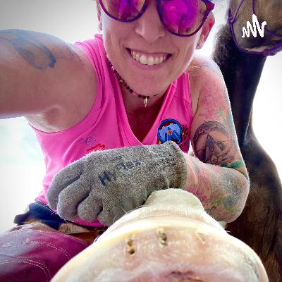 #2: Work Smarter Not Harder #2: Work Smarter Not Harder