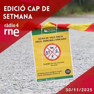 Edició Cap de Setmana - 30/11/2025