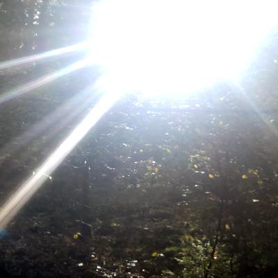 Episode 50: Let it out