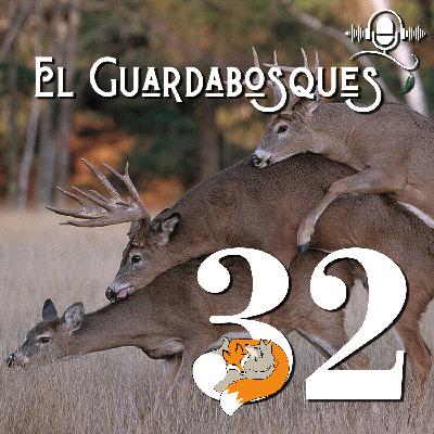 Ep. 32 | Sexo animal 2