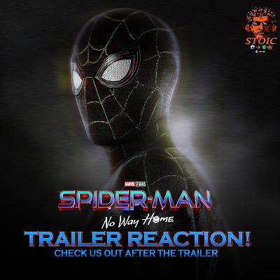 Spider-Man No Way Home Official Trailer Reaction !
