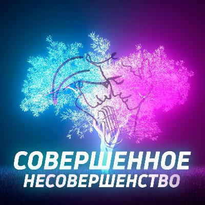 Совершенное несовершенство