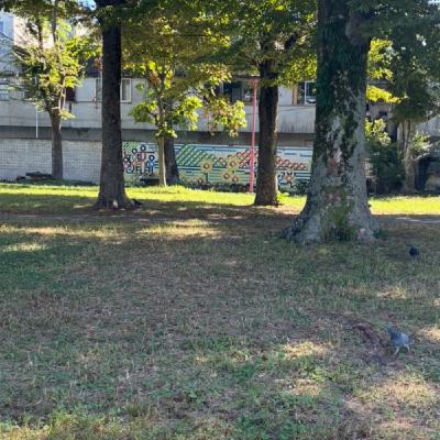 懐かしい公園散歩しながら【昼さんぽ10分】