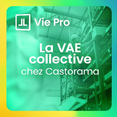 La VAE collective : l'exemple de Castorama La VAE collective : l'exemple de Castorama