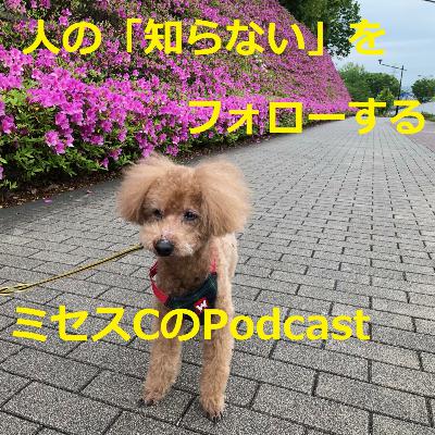Vol.18 お腹の中の子供を失うということ～後期流産～Part2
