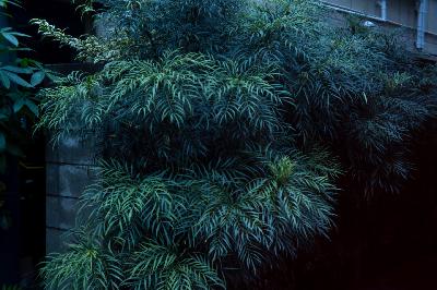 EP#191：皆さんの写真見せてください！