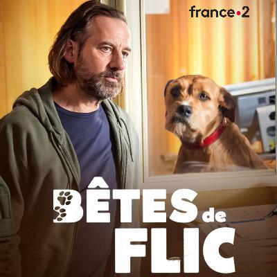 🐾 Bêtes de flic (France 2)
