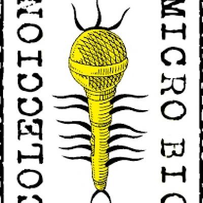 SAN ONOFRE, 11-XXVIII Microbíos (interviú)