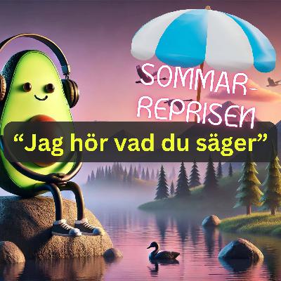 DHIOD-REPRIS: "Jag hör vad du säger" (avsnitt 006)