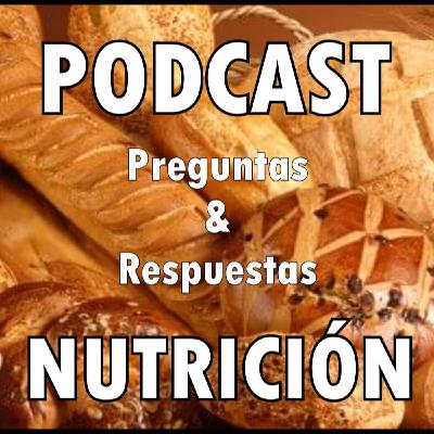 Sustitutivos del pan y Macros en volumen