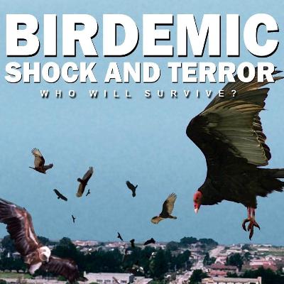Birdemic: an AWFUL film, but with an Environmental Message, that ALSO sucks...