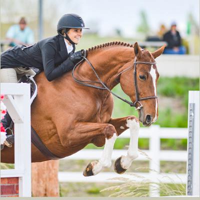 Brianna Hammerman: Being Herd