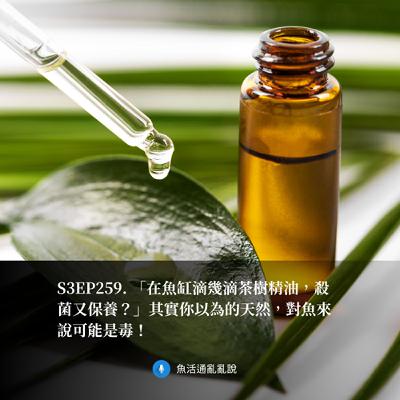 S3EP259. 「在魚缸滴幾滴茶樹精油，殺菌又保養？」其實你以為的天然，對魚來說可能是毒！