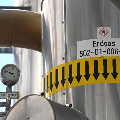 Gasversorgung - Energieexperte Lenz (CSU): Müssen neue Abhängigkeiten vermeiden